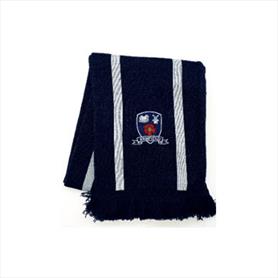 2 colour jacquard stripe scarf with embroidery